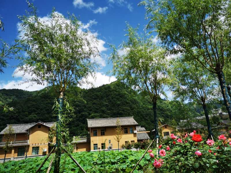 花田酒溪