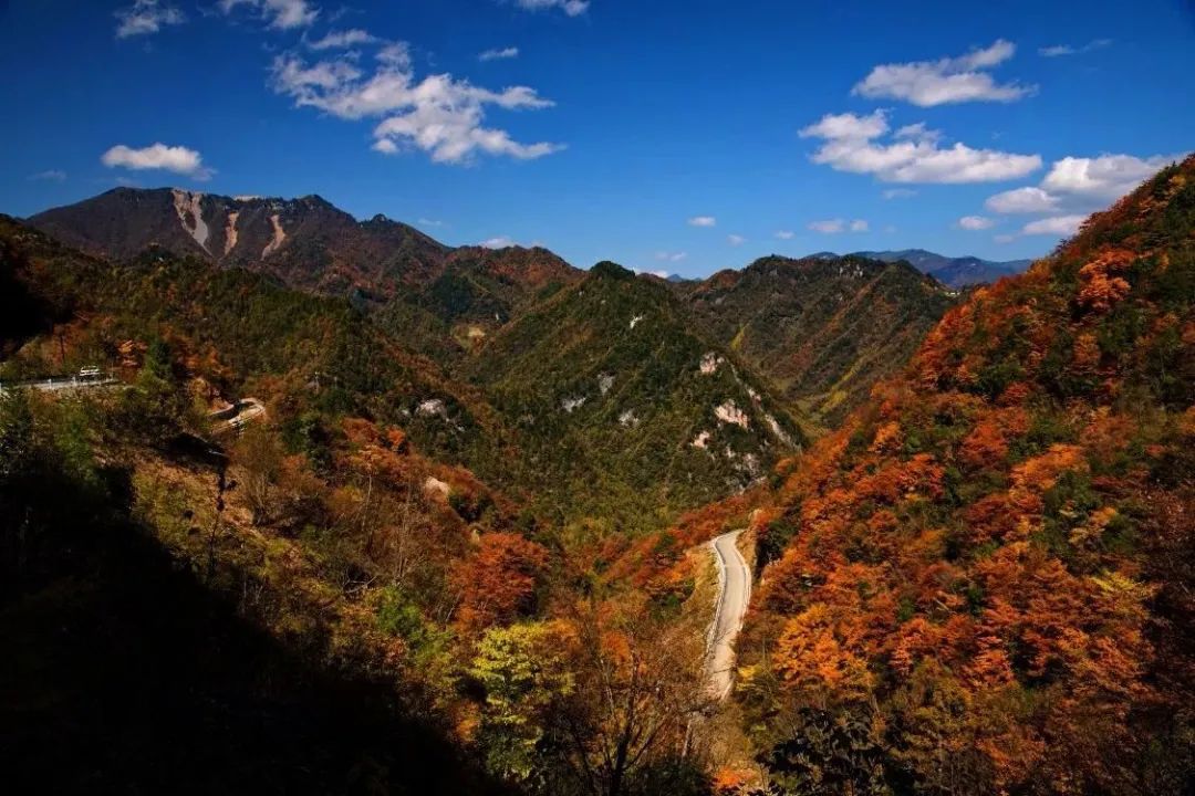 TA有什么好？让你逃不掉