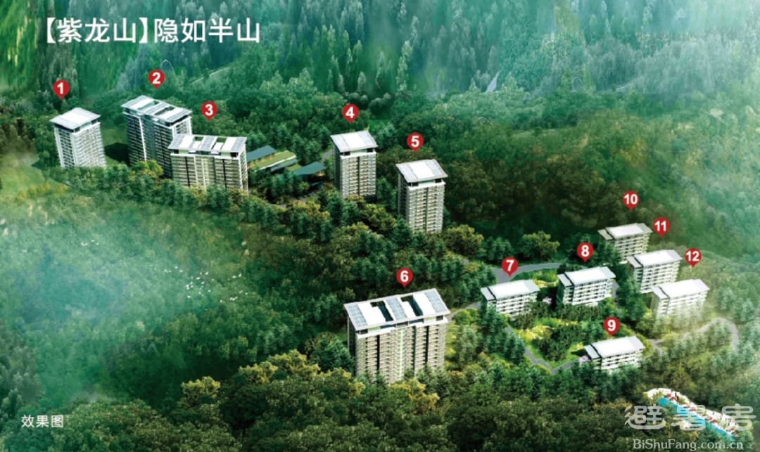 原野时讯 | 太平洋人寿保险公司同兴山政